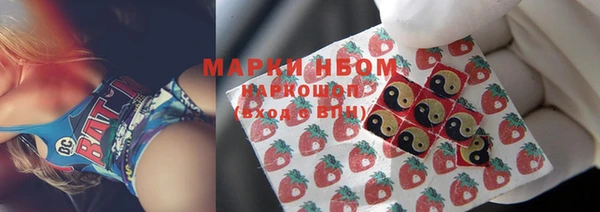 таблы Бородино