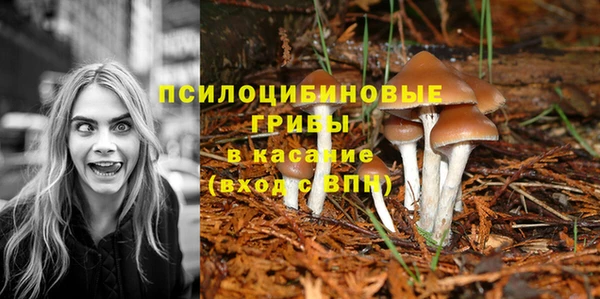 таблы Бородино
