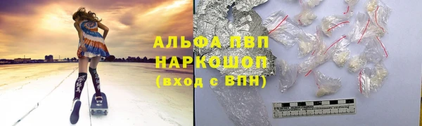 таблы Бородино
