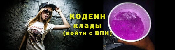таблы Бородино