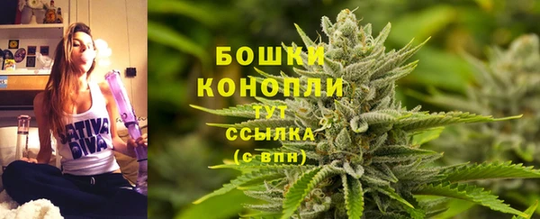 таблы Бородино