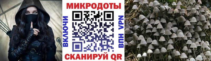 KRAKEN tor  Кирс  Галлюциногенные грибы MAGIC MUSHROOMS  где продают наркотики 
